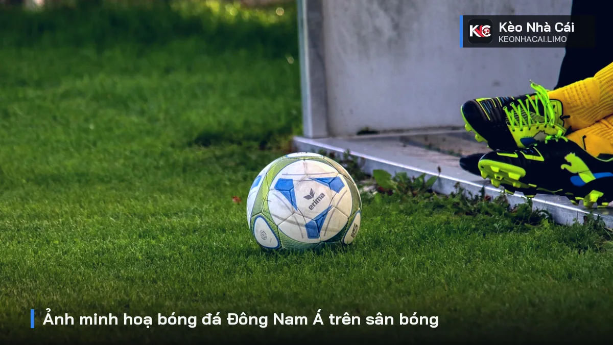 Ảnh minh hoạ bóng đá Đông Nam Á trên sân bóng