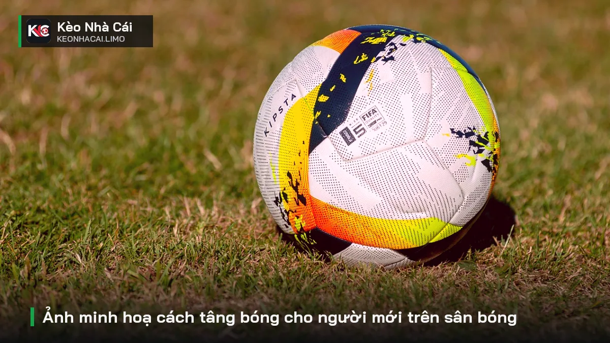 Ảnh minh hoạ cách tâng bóng cho người mới trên sân bóng