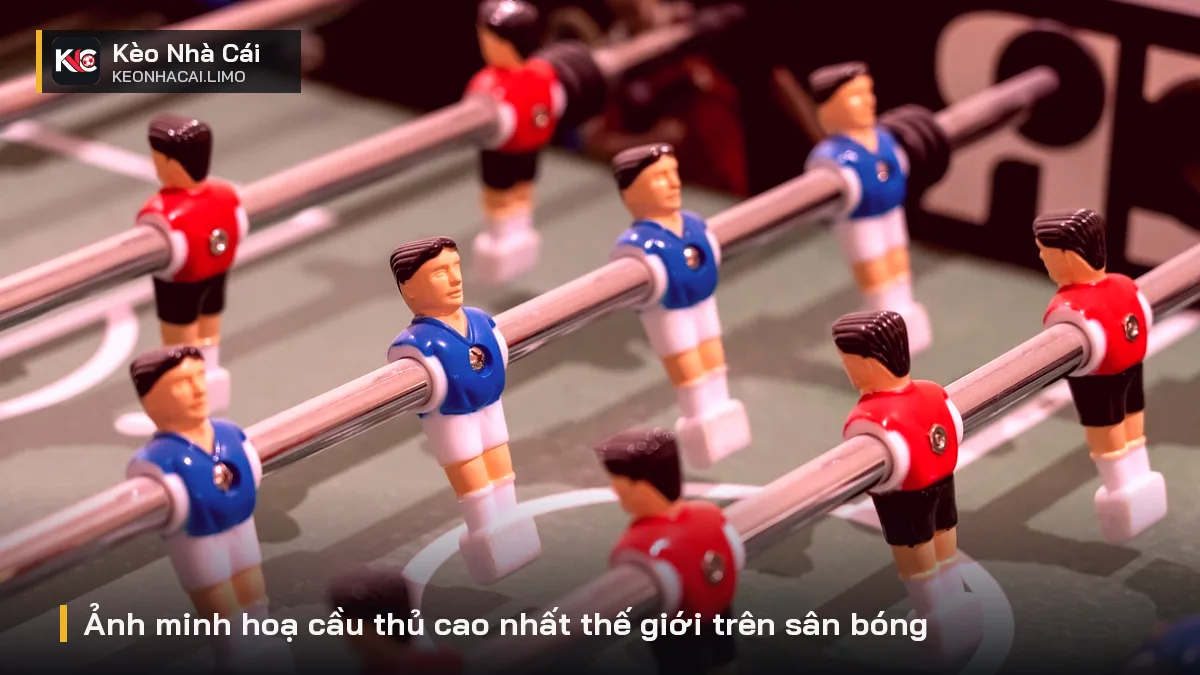 Ảnh minh hoạ cầu thủ cao nhất thế giới trên sân bóng