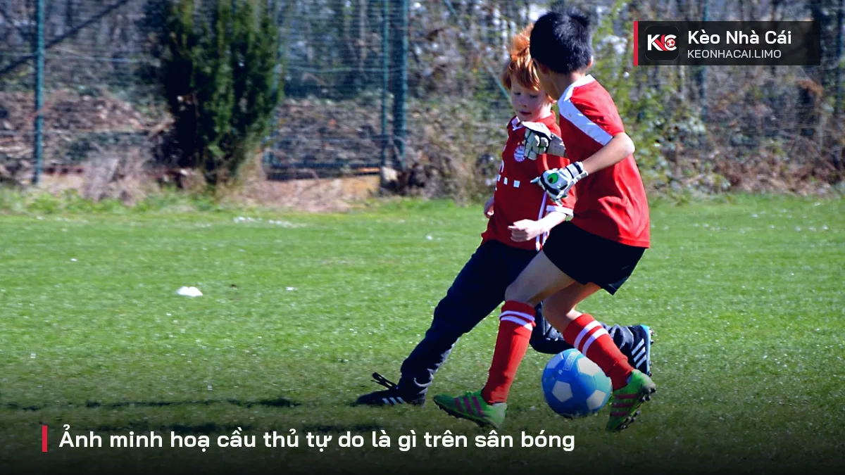 Ảnh minh hoạ cầu thủ tự do là gì trên sân bóng