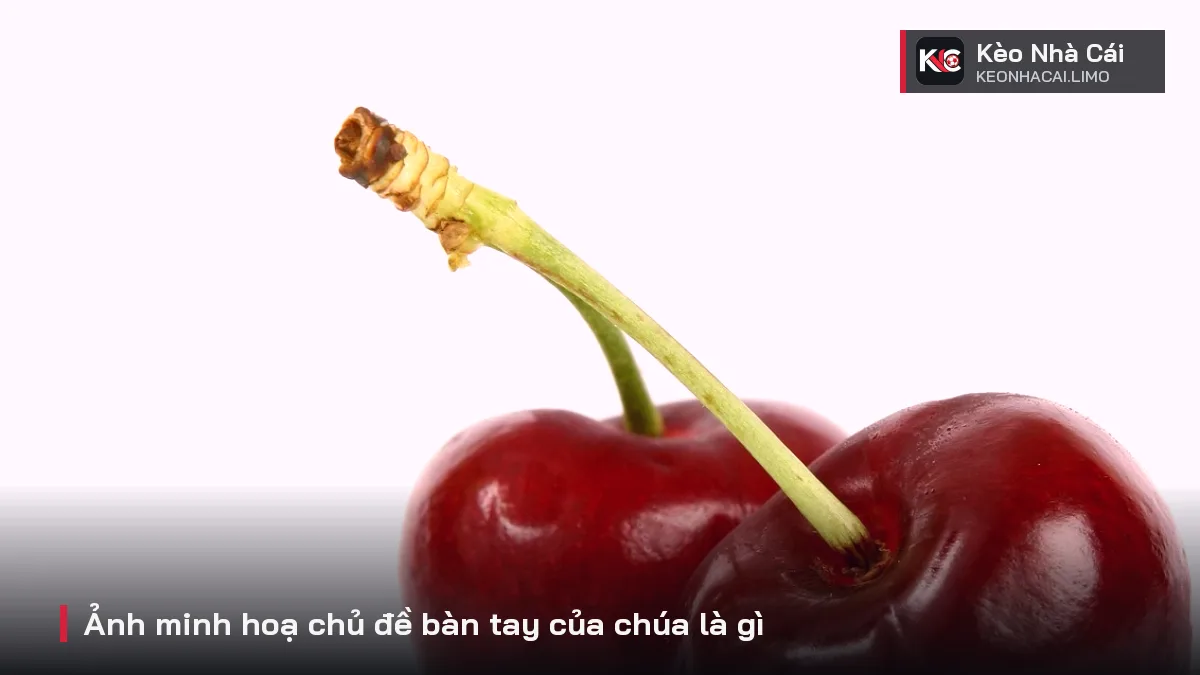 Ảnh minh hoạ chủ đề bàn tay của chúa là gì