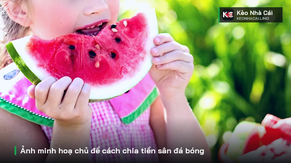 Ảnh minh hoạ chủ đề cách chia tiền sân đá bóng