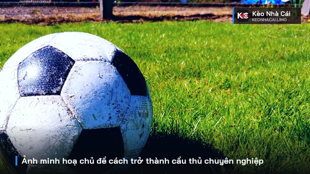 Ảnh minh hoạ chủ đề cách trở thành cầu thủ chuyên nghiệp