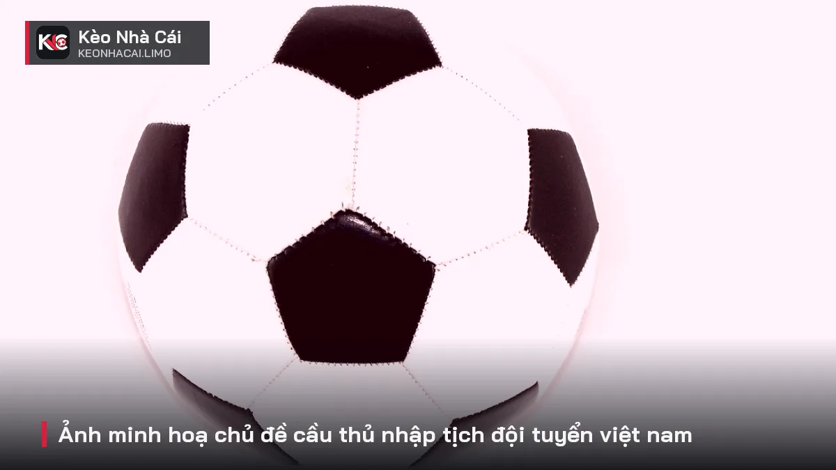 Ảnh minh hoạ chủ đề cầu thủ nhập tịch đội tuyển việt nam