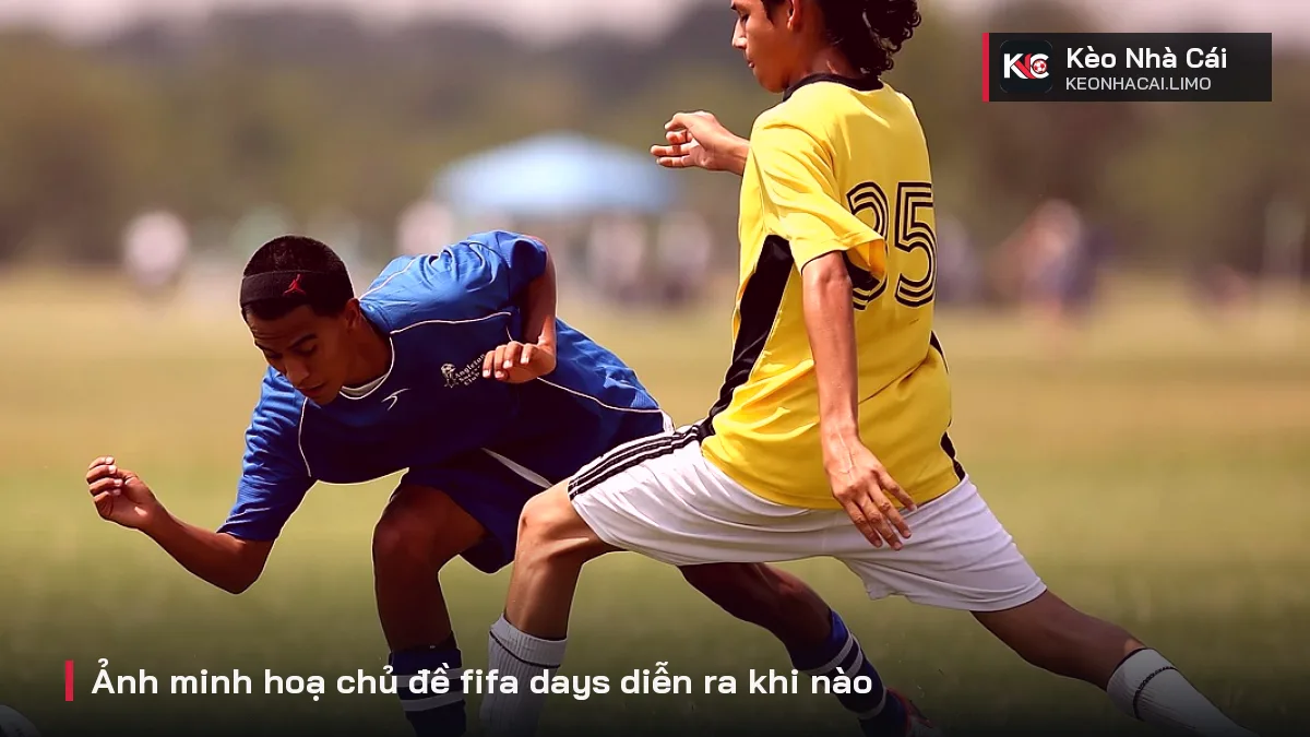 Ảnh minh hoạ chủ đề fifa days diễn ra khi nào