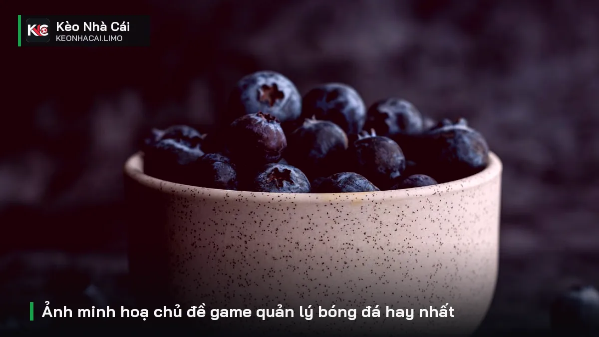 Ảnh minh hoạ chủ đề game quản lý bóng đá hay nhất