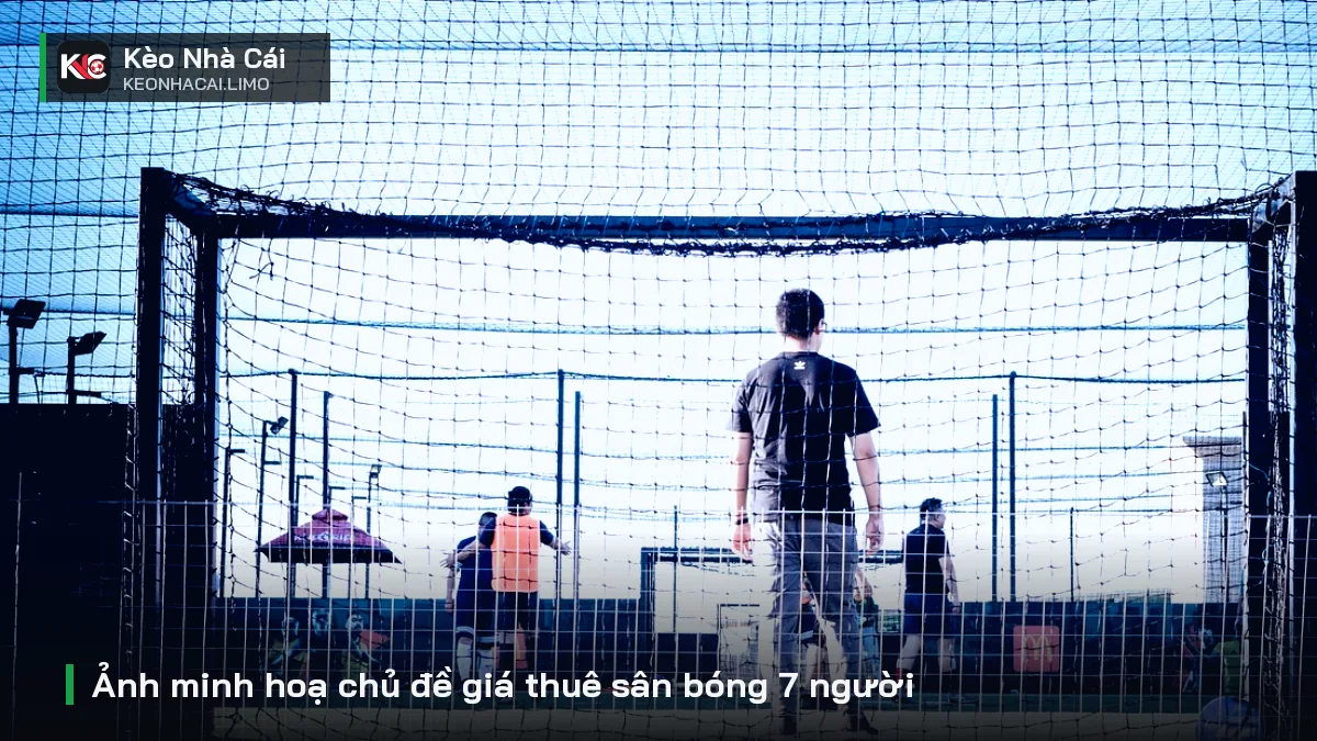 Ảnh minh hoạ chủ đề giá thuê sân bóng 7 người