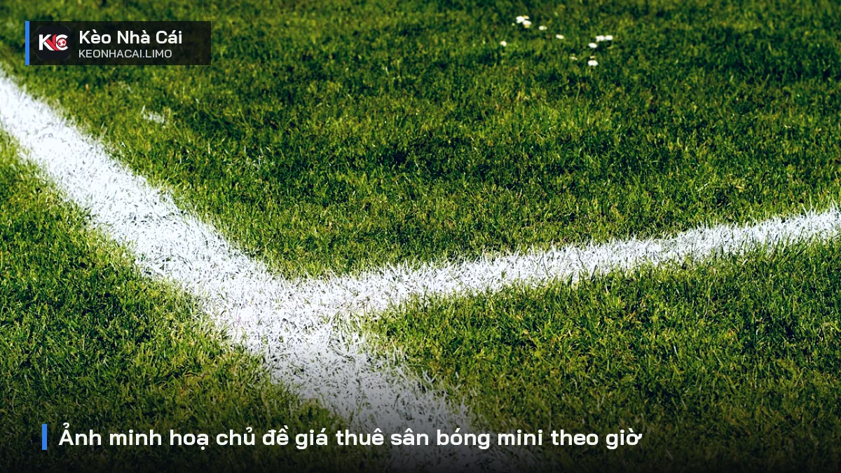 Ảnh minh hoạ chủ đề giá thuê sân bóng mini theo giờ