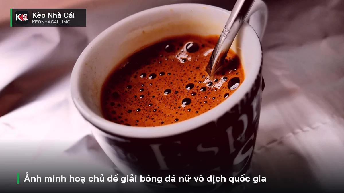 Ảnh minh hoạ chủ đề giải bóng đá nữ vô địch quốc gia