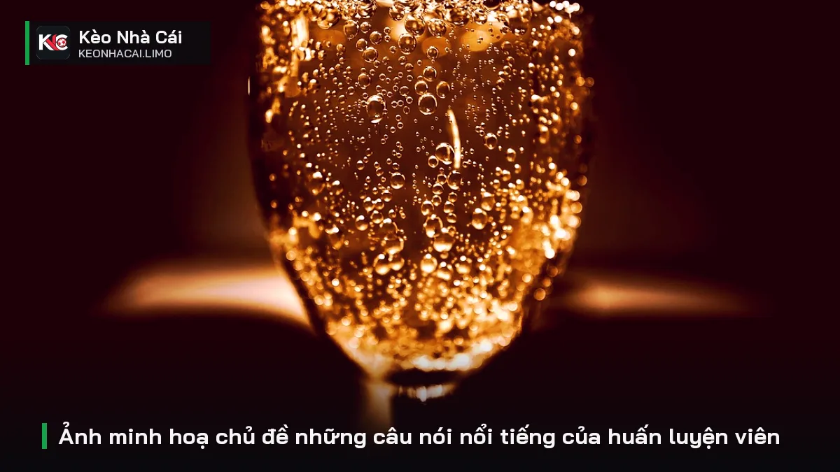Ảnh minh hoạ chủ đề những câu nói nổi tiếng của huấn luyện viên