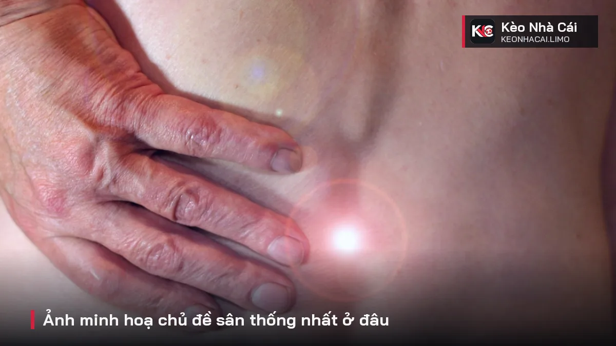 Ảnh minh hoạ chủ đề sân thống nhất ở đâu