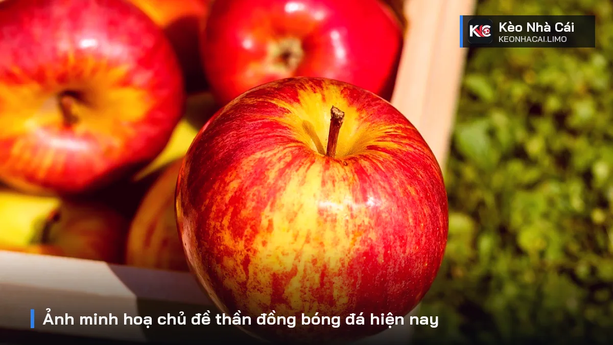 Ảnh minh hoạ chủ đề thần đồng bóng đá hiện nay