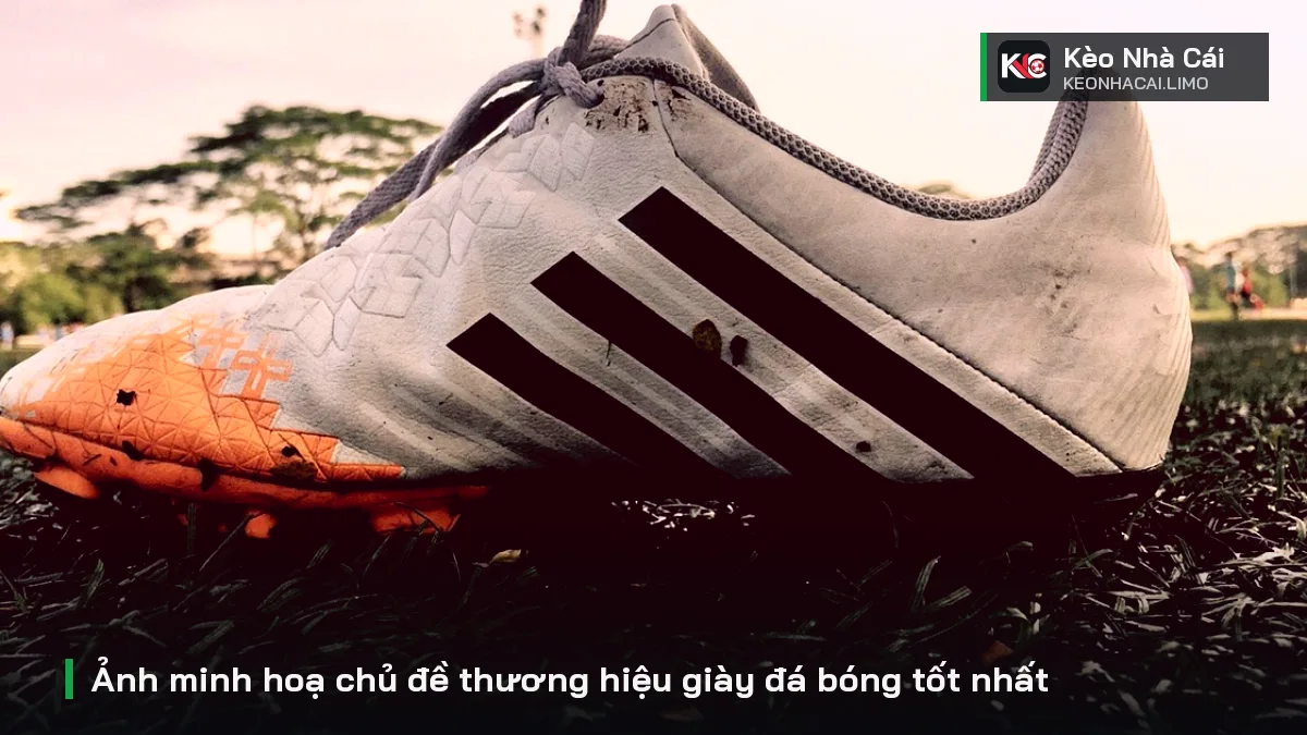 Ảnh minh hoạ chủ đề thương hiệu giày đá bóng tốt nhất