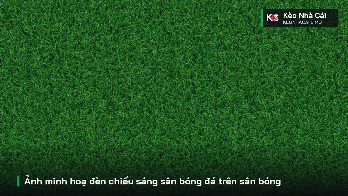 Ảnh minh hoạ đèn chiếu sáng sân bóng đá trên sân bóng