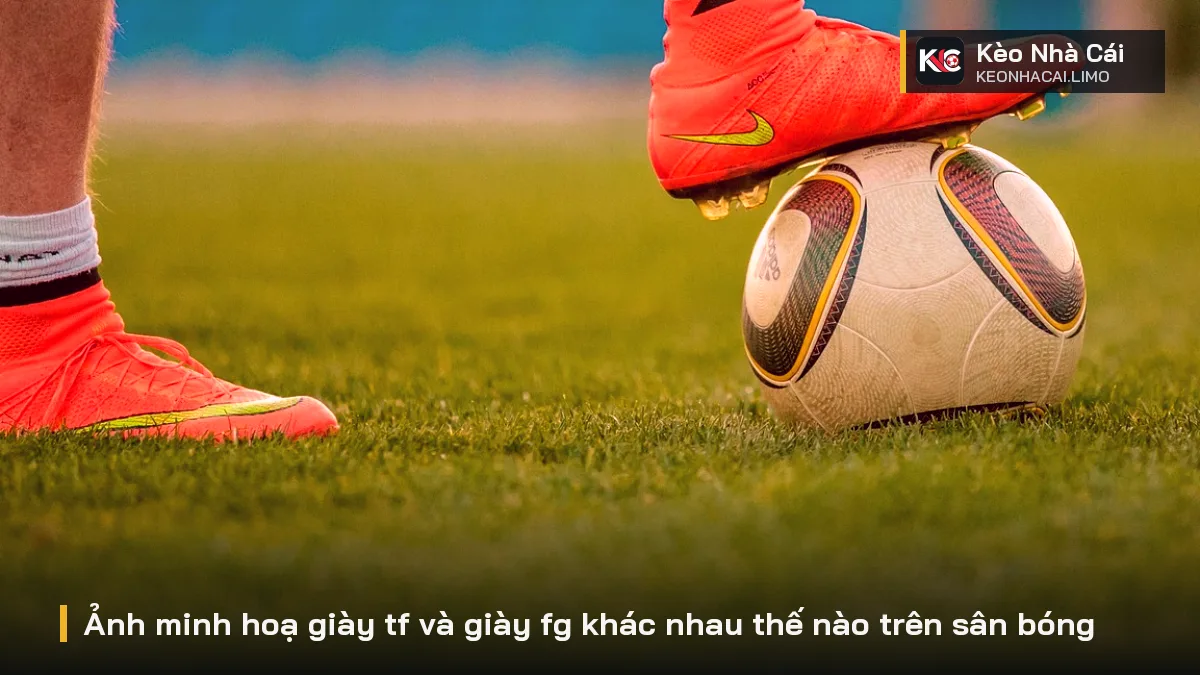 Ảnh minh hoạ giày tf và giày fg khác nhau thế nào trên sân bóng