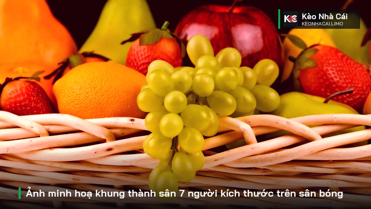 Ảnh minh hoạ khung thành sân 7 người kích thước trên sân bóng