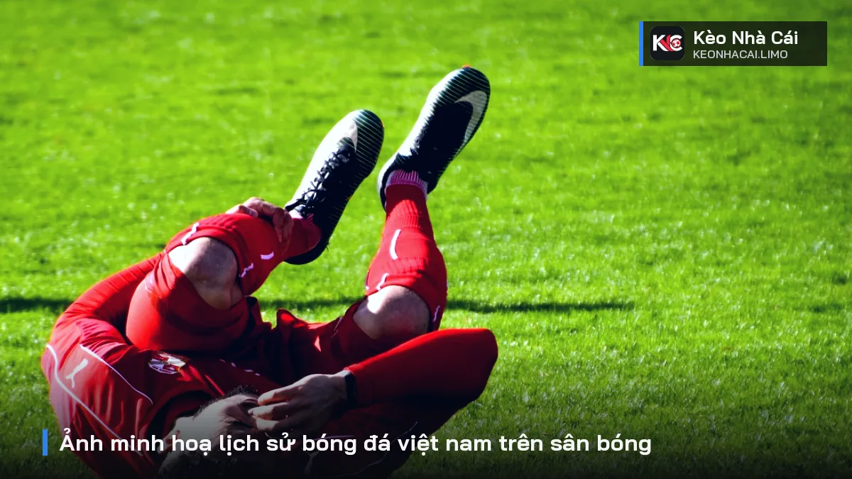 Ảnh minh hoạ lịch sử bóng đá việt nam trên sân bóng