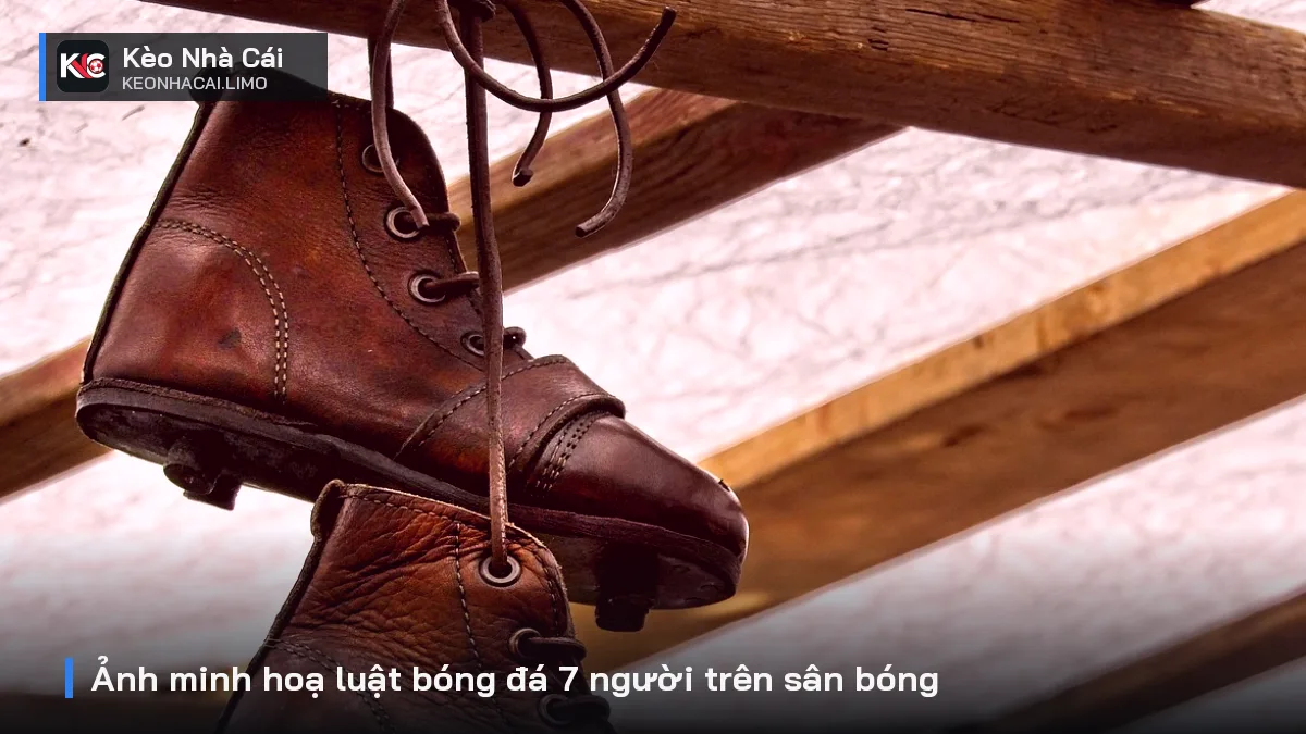 Ảnh minh hoạ luật bóng đá 7 người trên sân bóng