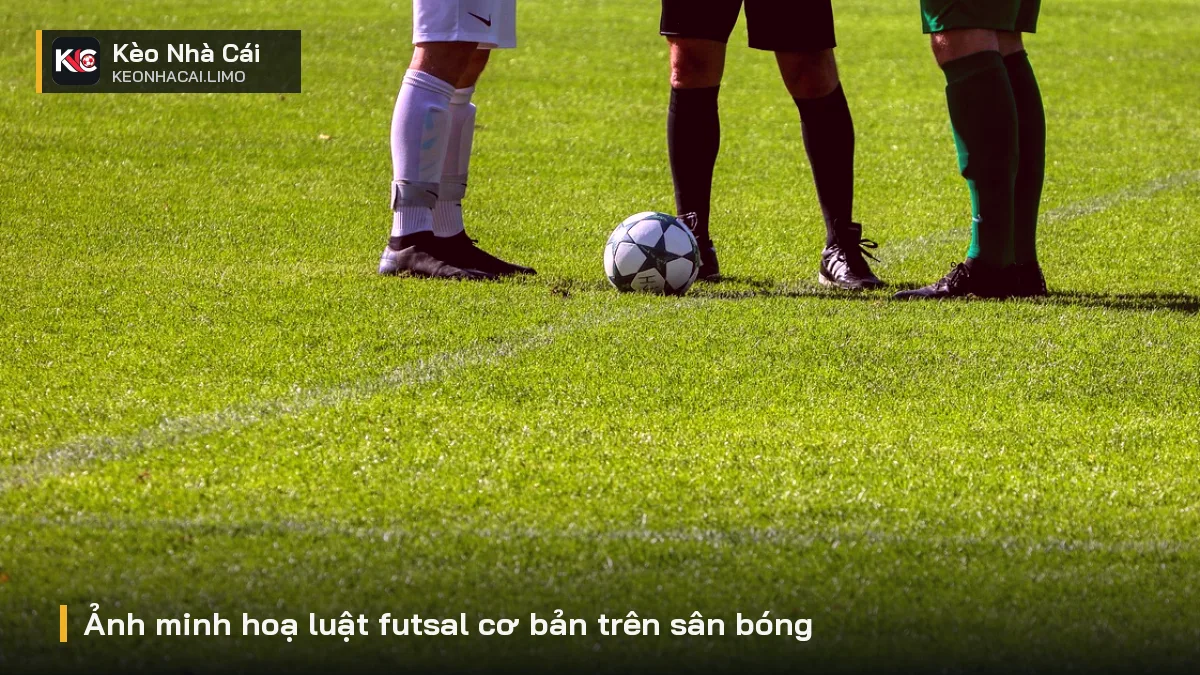 Ảnh minh hoạ luật futsal cơ bản trên sân bóng