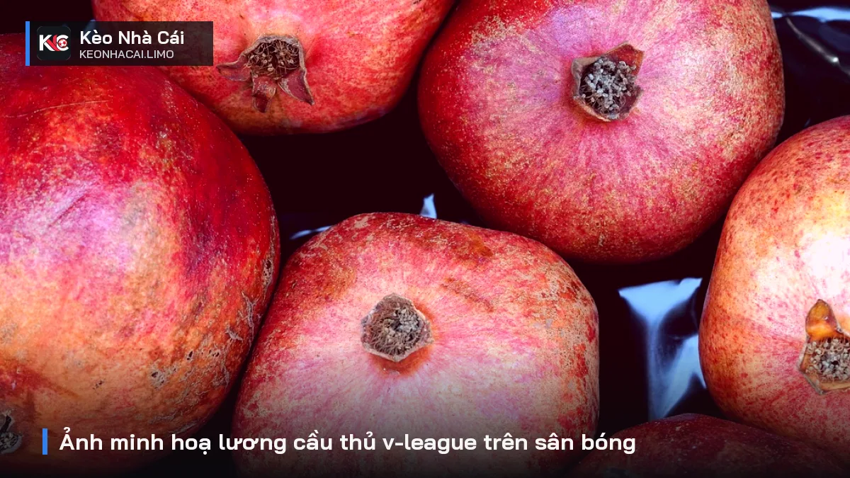 Ảnh minh hoạ lương cầu thủ v-league trên sân bóng