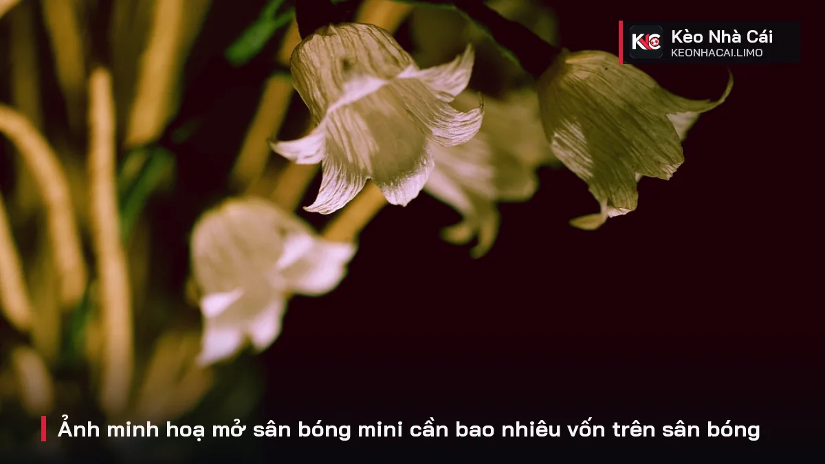 Ảnh minh hoạ mở sân bóng mini cần bao nhiêu vốn trên sân bóng