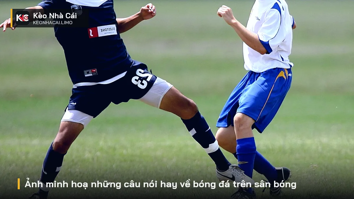 Ảnh minh hoạ những câu nói hay về bóng đá trên sân bóng