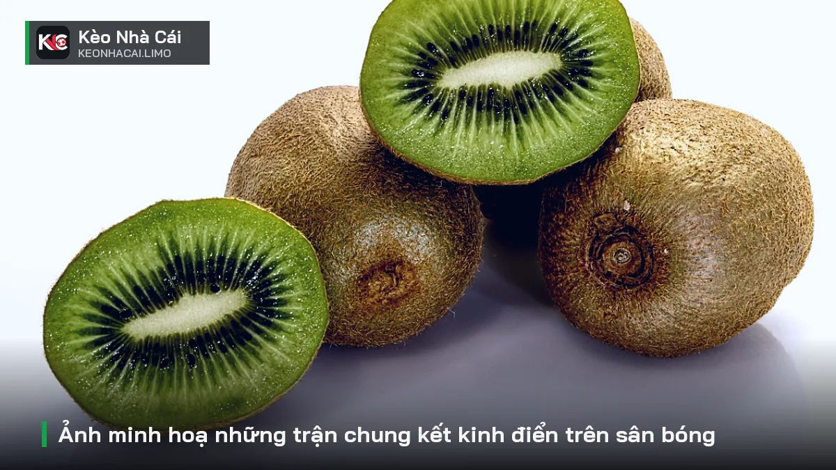 Ảnh minh hoạ những trận chung kết kinh điển trên sân bóng