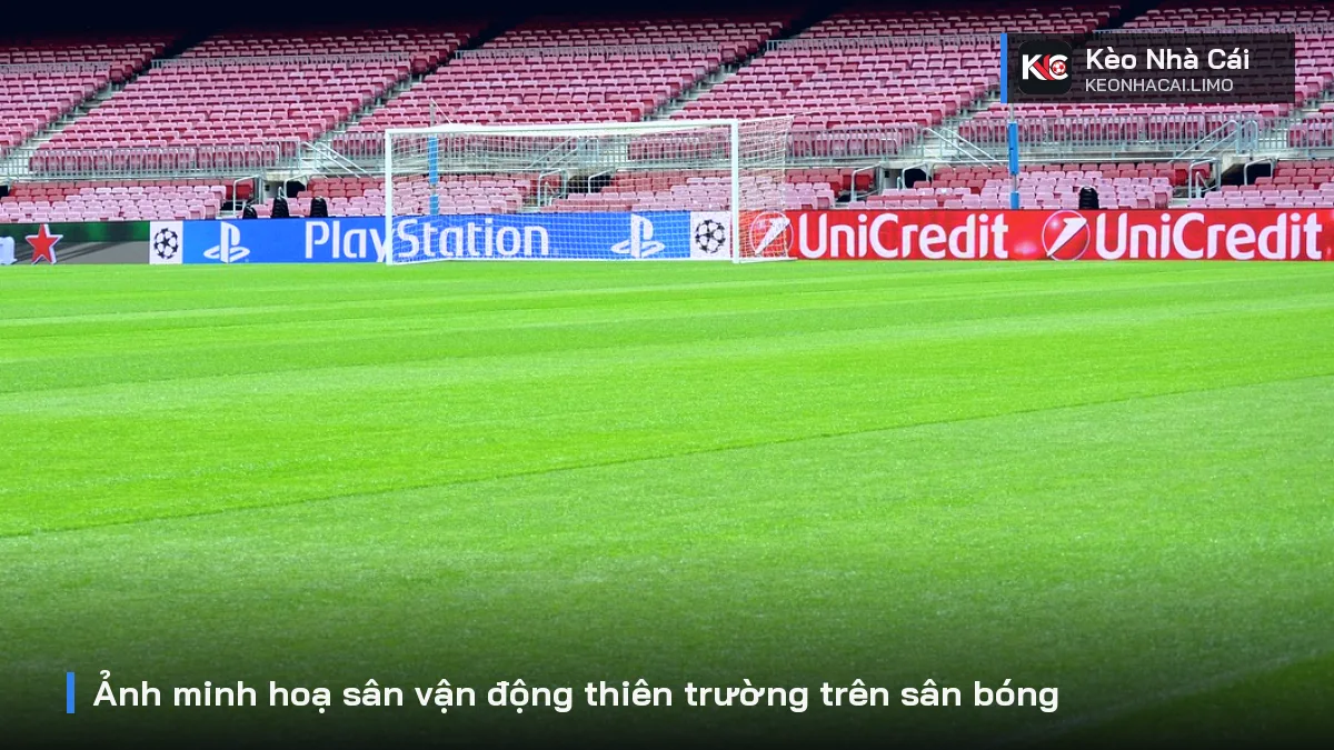 Ảnh minh hoạ sân vận động thiên trường trên sân bóng