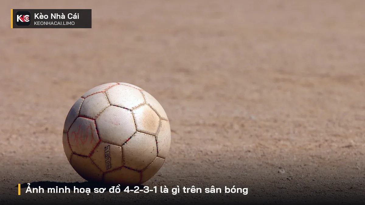 Ảnh minh hoạ sơ đồ 4-2-3-1 là gì trên sân bóng