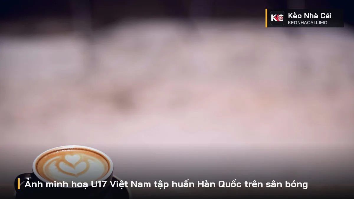 Ảnh minh hoạ U17 Việt Nam tập huấn Hàn Quốc trên sân bóng