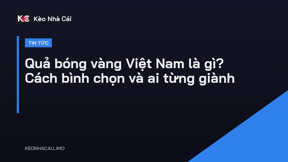 Cầu thủ nâng cúp tại gala trao giải Quả bóng vàng Việt Nam