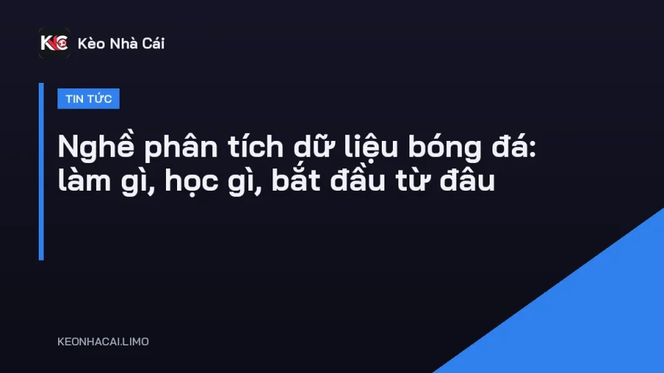 Chuyên viên phân tích dữ liệu bóng đá xem biểu đồ chiến thuật trên màn hình máy tính