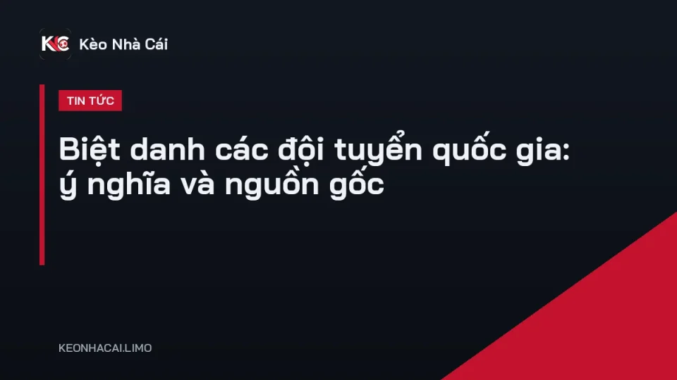 Cổ động viên cầm cờ cổ vũ các đội tuyển quốc gia với biệt danh nổi tiếng