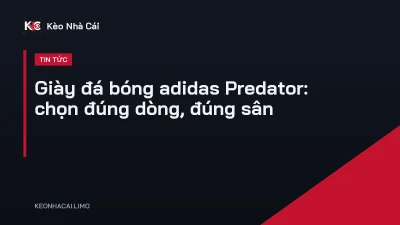 Giày đá bóng adidas Predator: chọn đúng dòng, đúng sân
