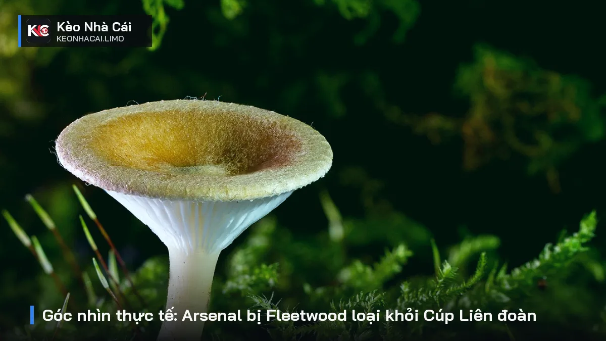 Góc nhìn thực tế: Arsenal bị Fleetwood loại khỏi Cúp Liên đoàn