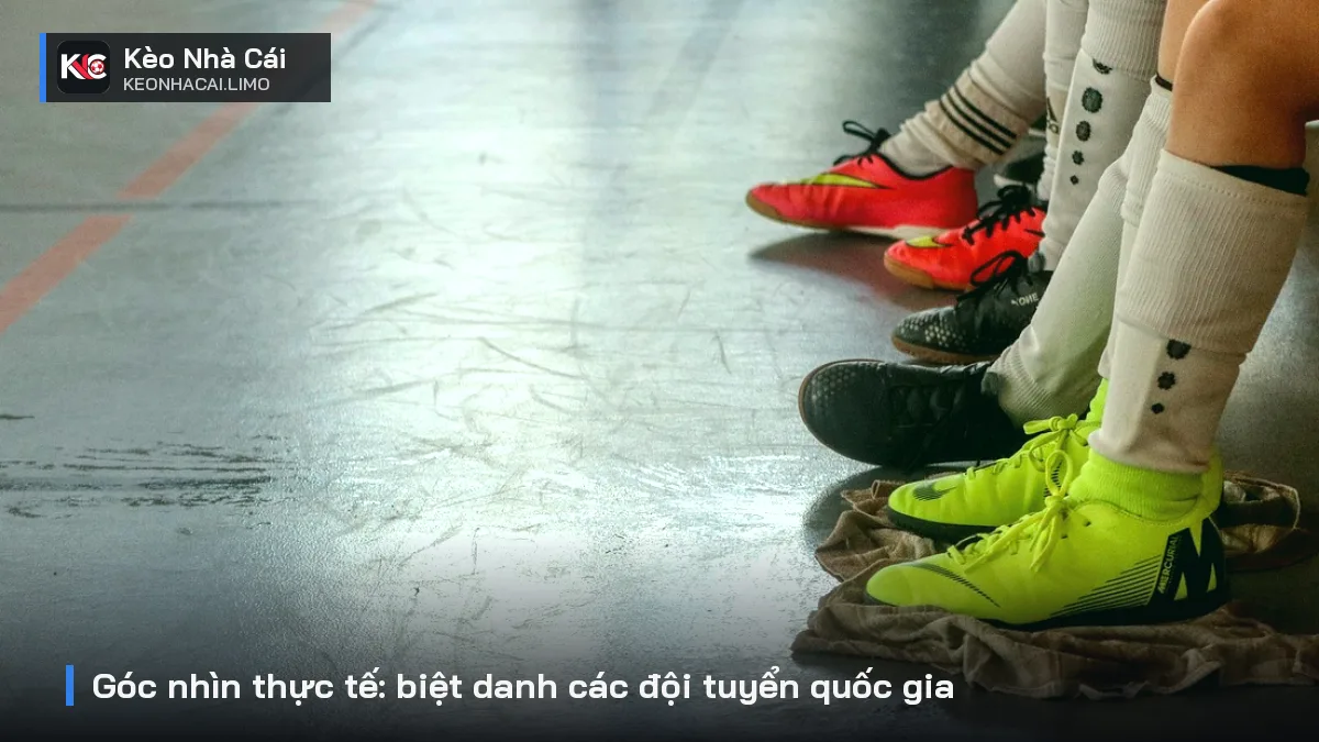 Góc nhìn thực tế: biệt danh các đội tuyển quốc gia