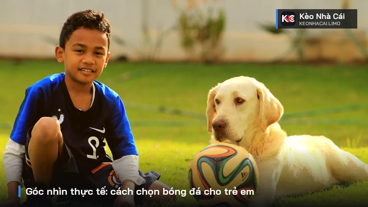 Góc nhìn thực tế: cách chọn bóng đá cho trẻ em
