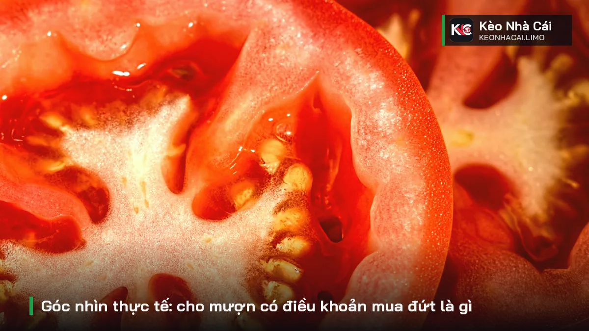 Góc nhìn thực tế: cho mượn có điều khoản mua đứt là gì