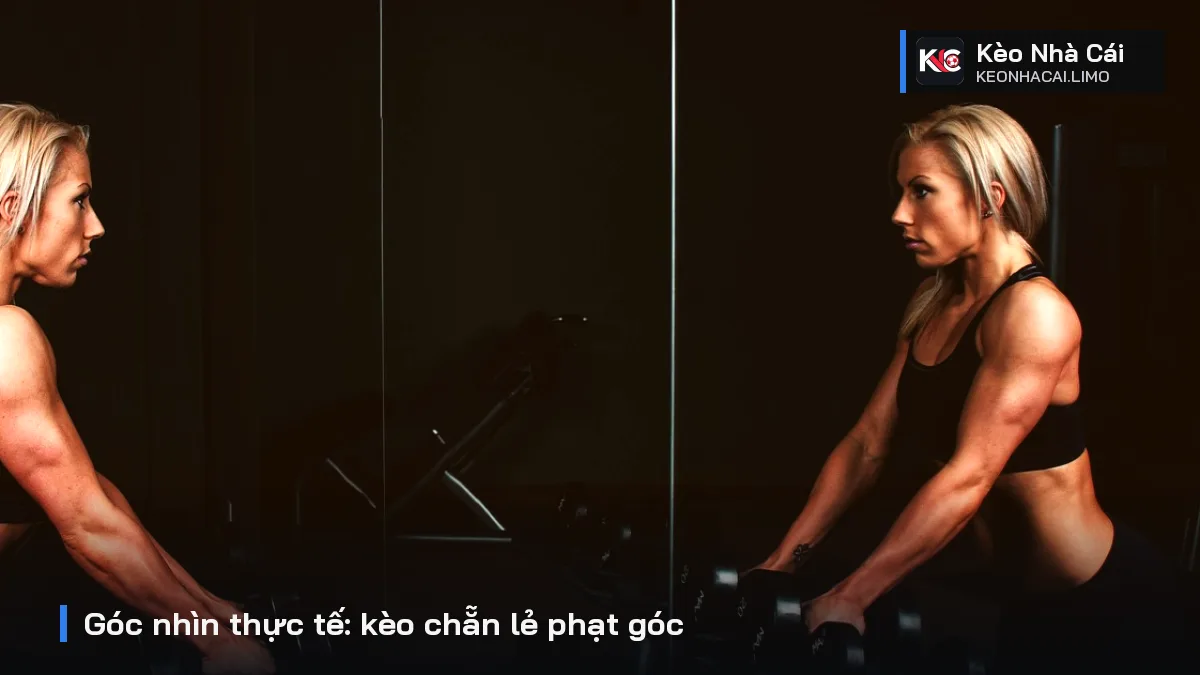 Góc nhìn thực tế: kèo chẵn lẻ phạt góc