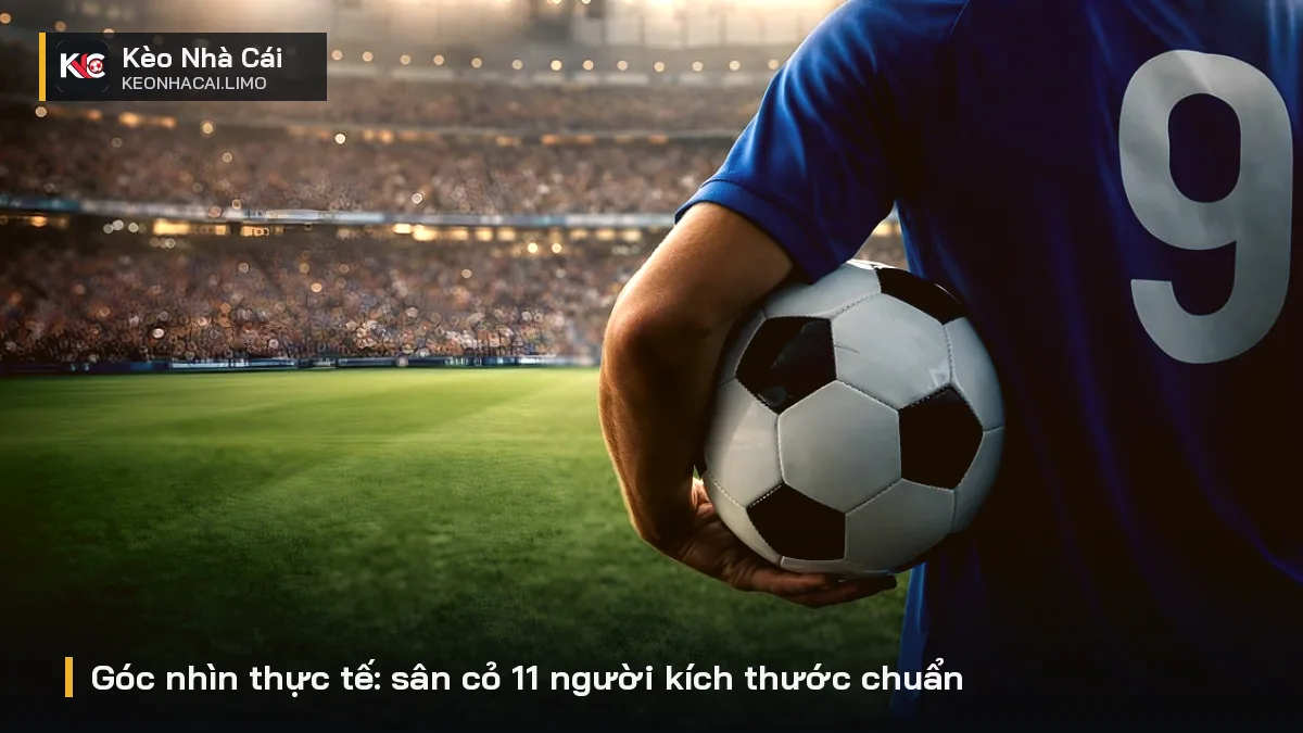 Góc nhìn thực tế: sân cỏ 11 người kích thước chuẩn