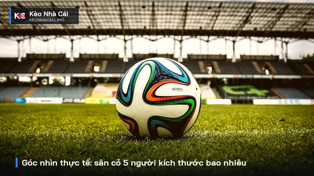Góc nhìn thực tế: sân cỏ 5 người kích thước bao nhiêu