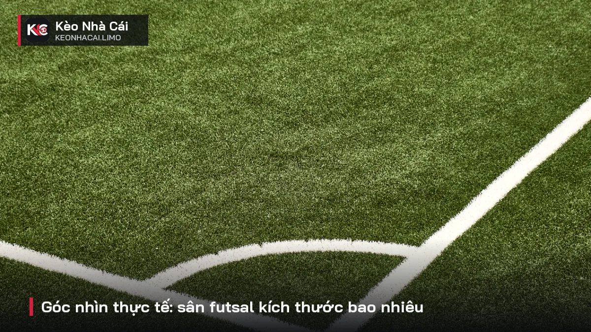 Góc nhìn thực tế: sân futsal kích thước bao nhiêu