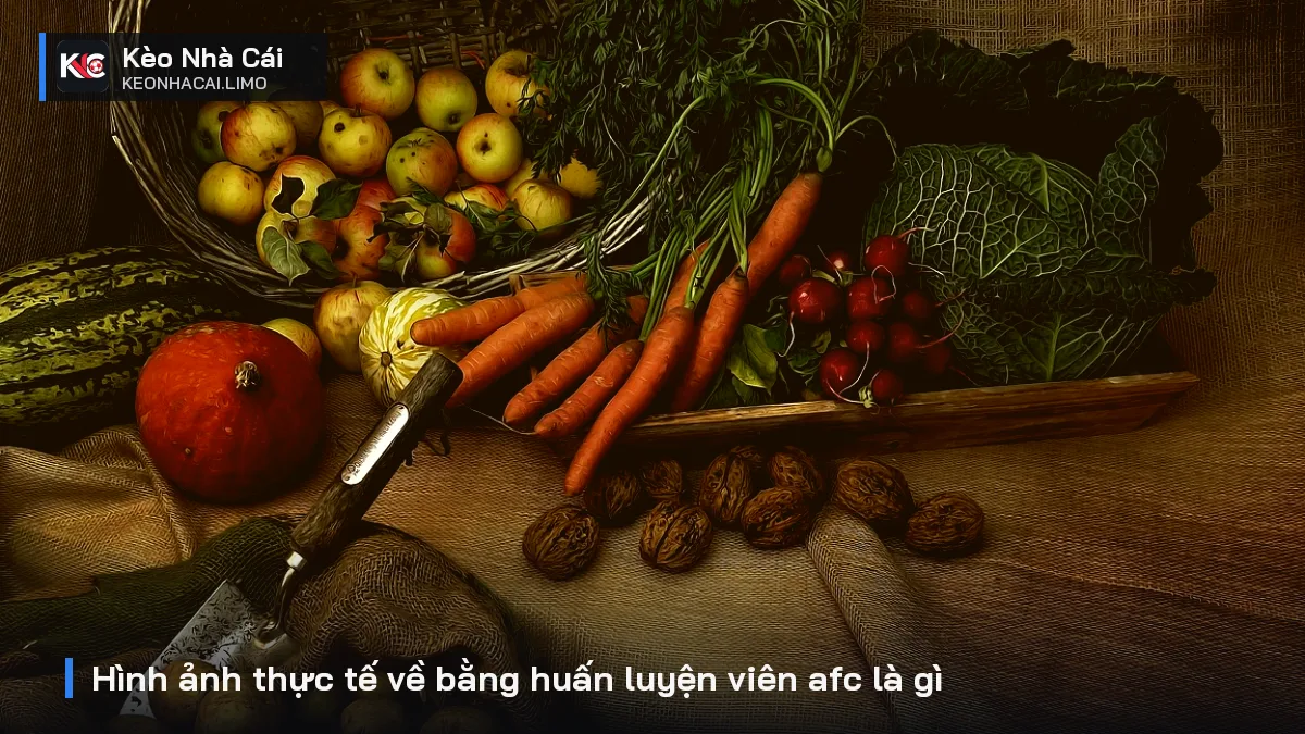 Hình ảnh thực tế về bằng huấn luyện viên afc là gì