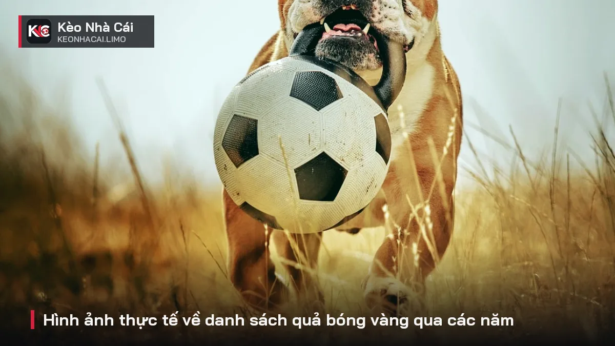 Hình ảnh thực tế về danh sách quả bóng vàng qua các năm