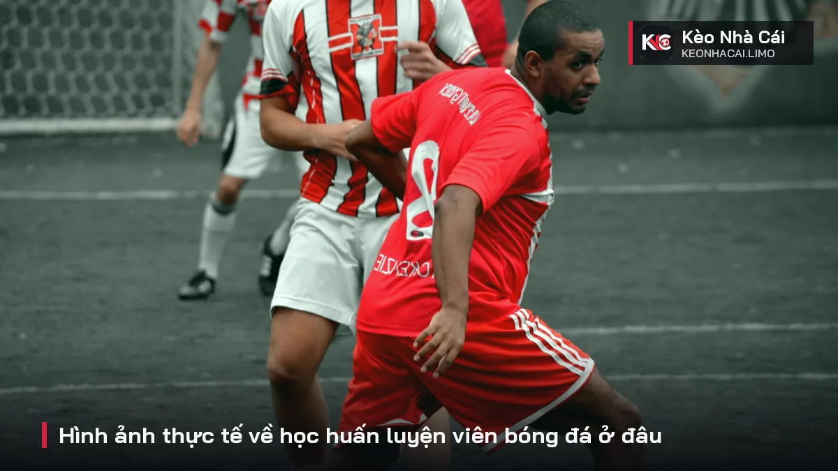 Hình ảnh thực tế về học huấn luyện viên bóng đá ở đâu