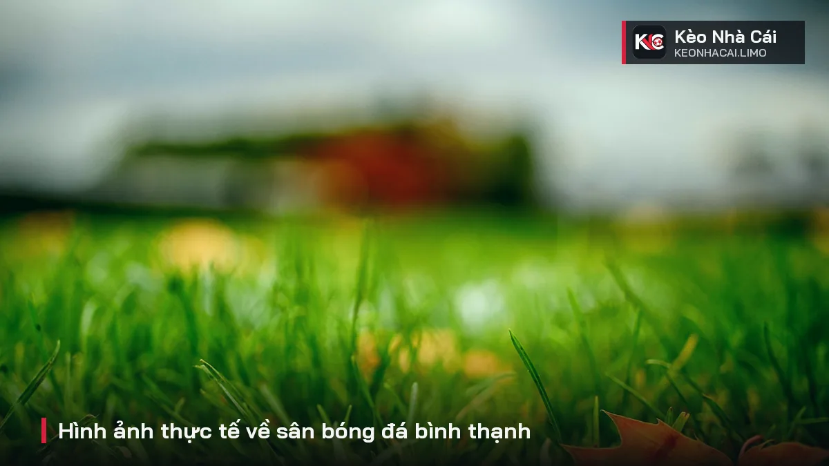 Hình ảnh thực tế về sân bóng đá bình thạnh