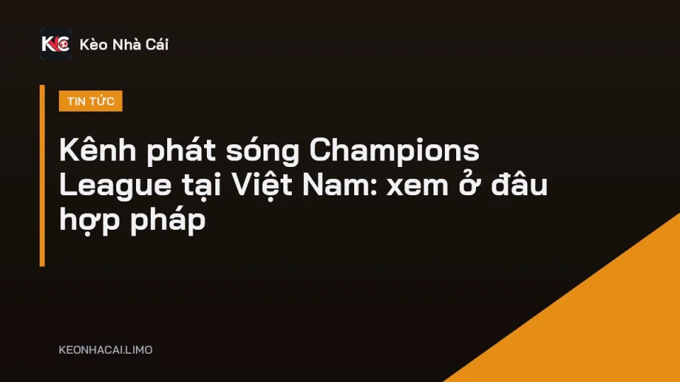 Khán giả Việt Nam xem kênh phát sóng Champions League trên tivi lúc rạng sáng