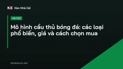 Mô hình cầu thủ bóng đá: các loại phổ biến, giá và cách chọn mua