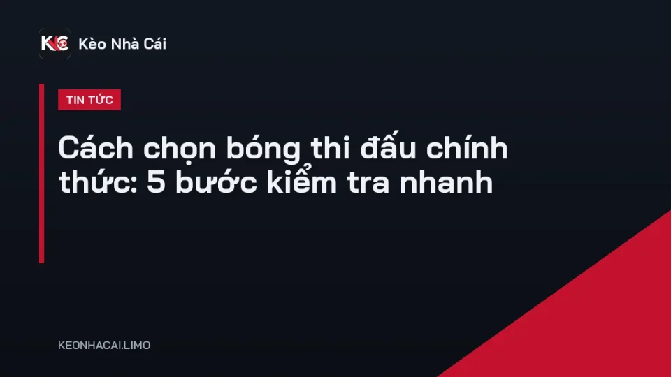 Quả bóng đá thi đấu chính thức đặt trên sân cỏ cùng tem chứng nhận