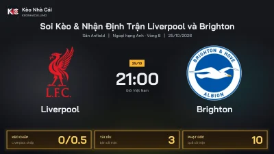 Soi kèo Liverpool vs Brighton 21h00 ngày 25/10 Giải Ngoại Hạng Anh 2026/27 Vòng 8